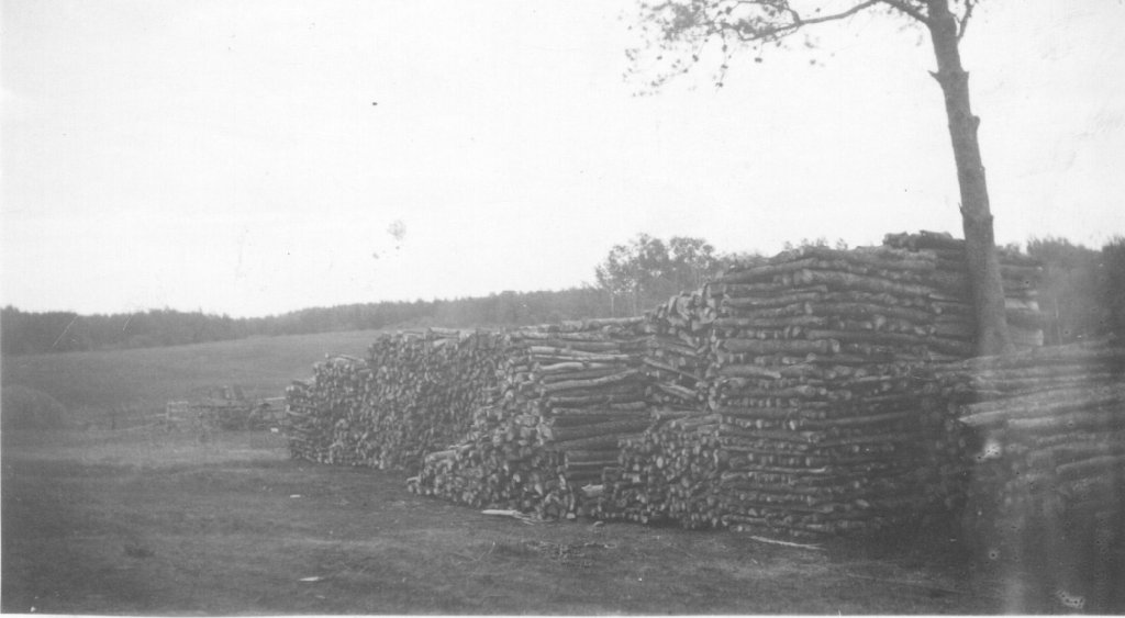 Baustian33.jpg