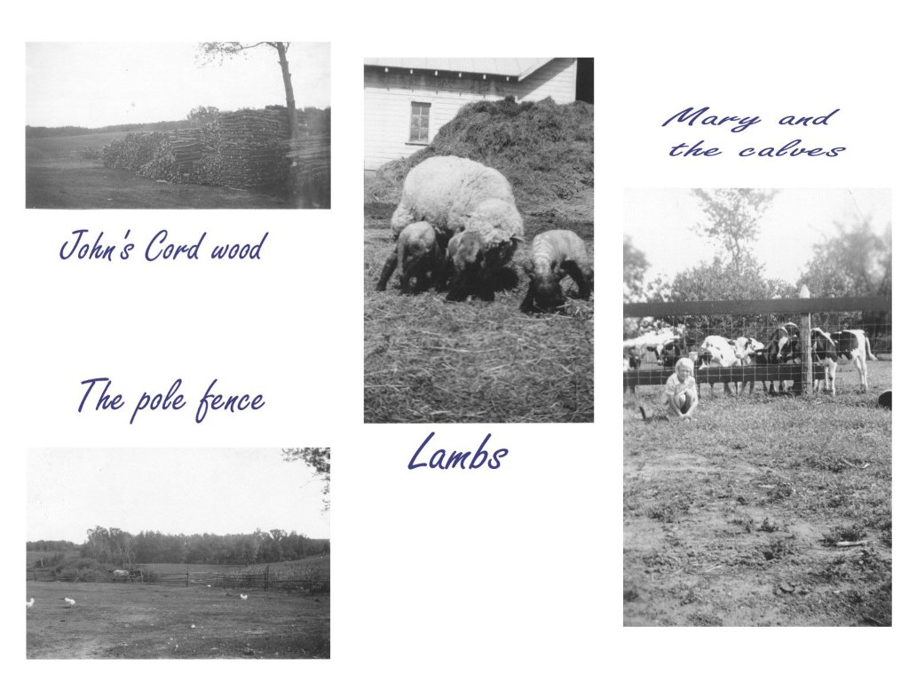 Lengby_farm1.jpg