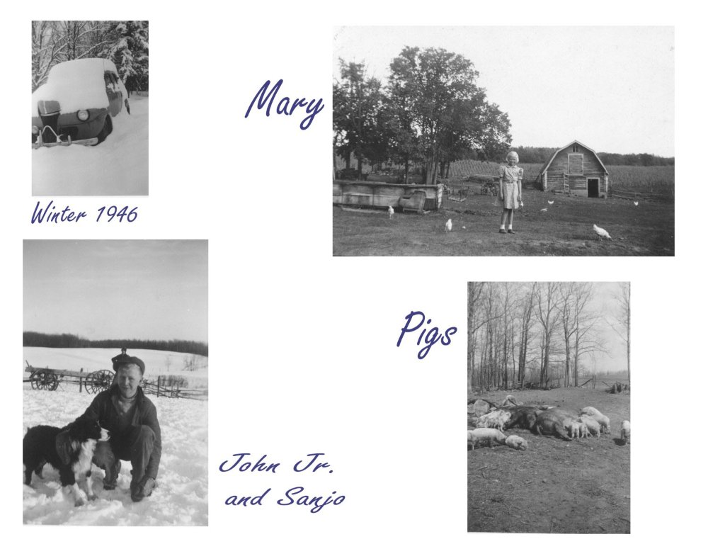 Lengby_farm2.jpg