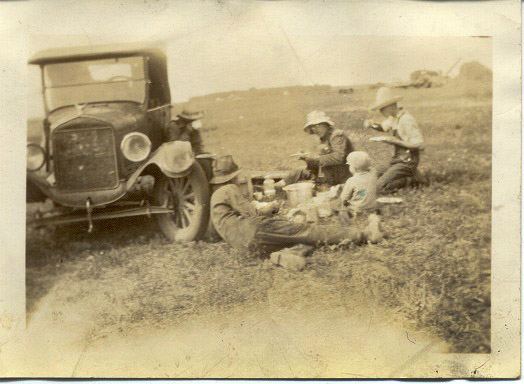 harvest.jpg