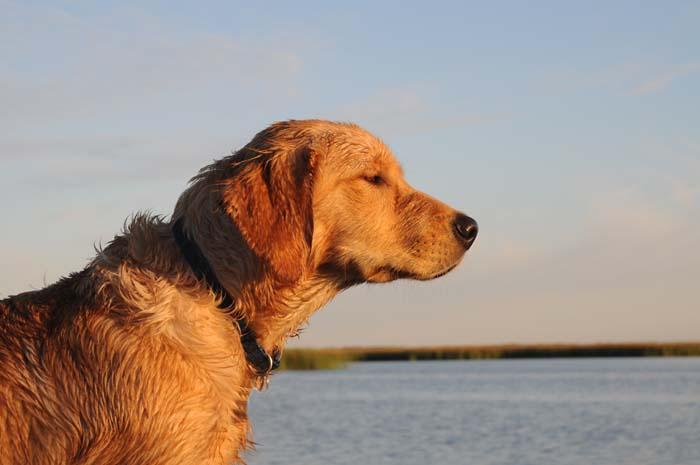 koop_profile.jpg