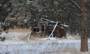 DSC_2787