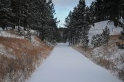 DSC_4620