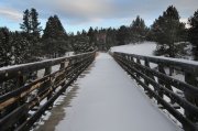 DSC_4622