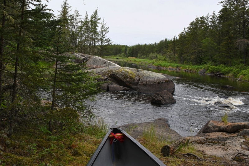 D50_2291.jpg - Look...a moose!