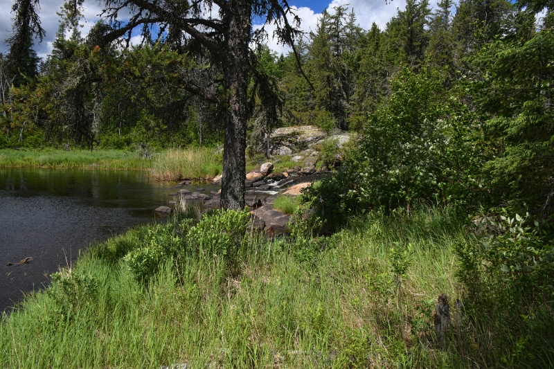 D50_2507.jpg - Lunch with a view