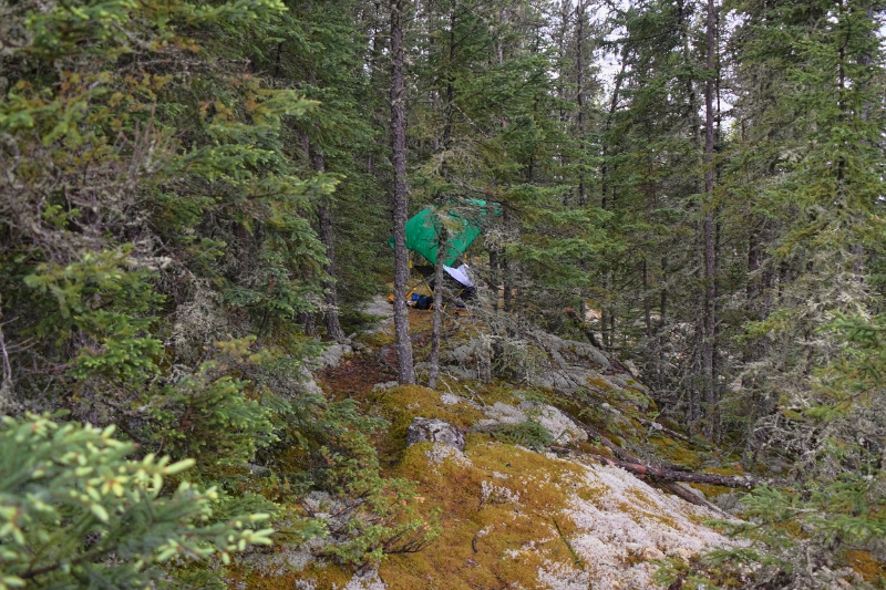 D50_2522.jpg - Camp in  Jackpines