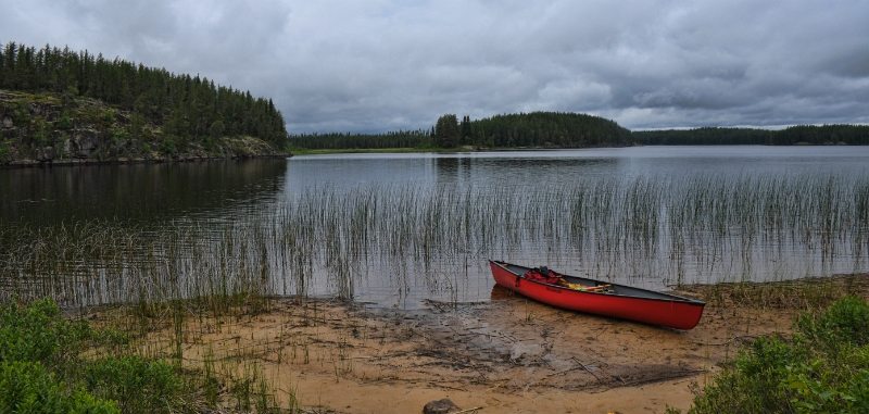 D50_2530.jpg - Ford Lake