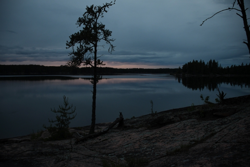 D50_2574.jpg - Late June evening