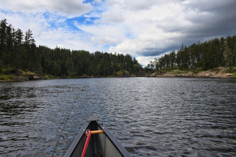 D50_2590.jpg - The Bloodvien River