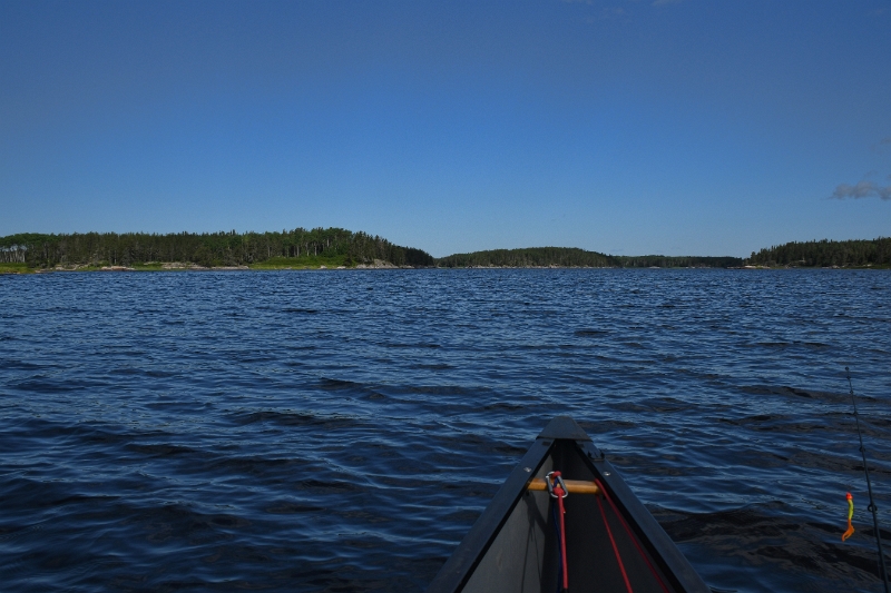 D50_2648.jpg - Stonehouse Lake