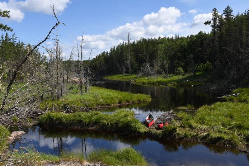 D50_2661.jpg - Portage Time