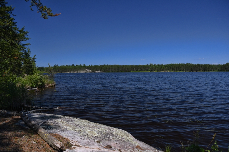 D50_2678.jpg - Lunch break