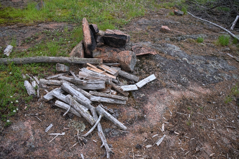 D50_2727.jpg - Firewood is always plentiful