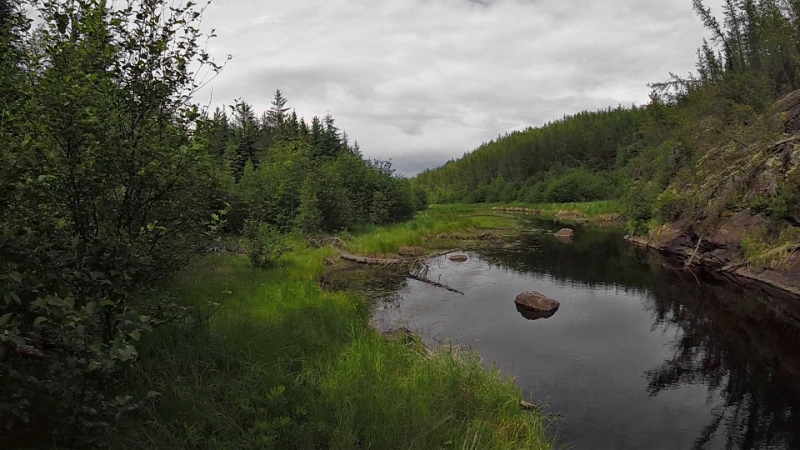 GOPR0094-1.jpg - Moose Country