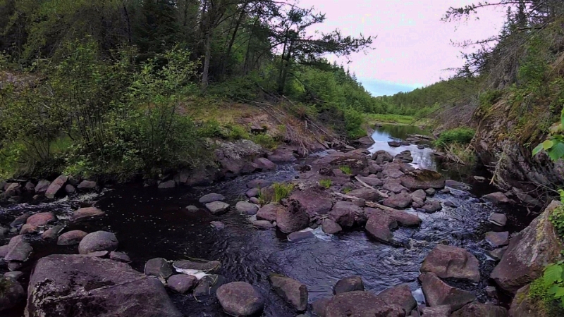 GOPR0094.jpg - The Broadleaf, portage fun