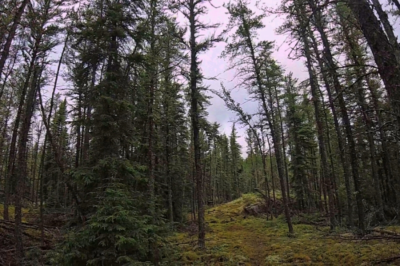 GOPR0154.jpg - A long but scenic portage