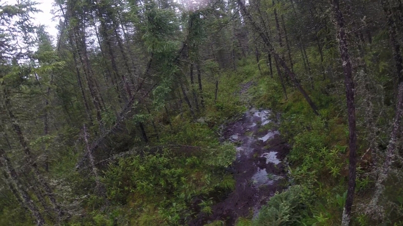 GOPR0164.jpg - Bog Walking