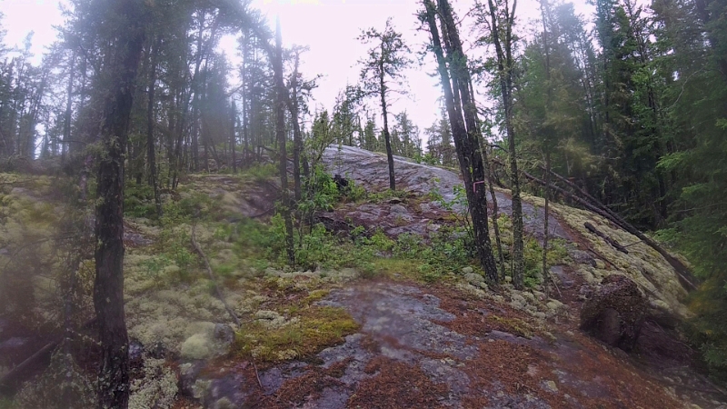 GOPR0166.jpg - From bog to steep and slippery