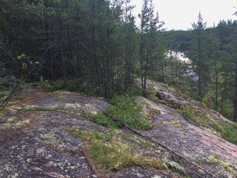 IMG_2490.jpg - Cuttoff Portage
