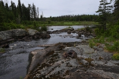 D50_2323