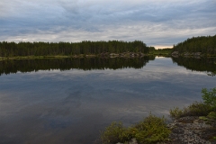 D50_2426