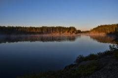 D50_2427