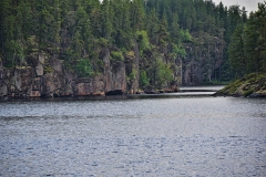 D50_2520