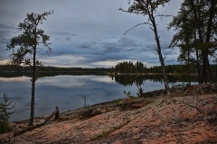 D50_2565