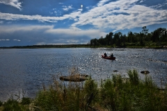 D50_2610