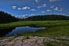 D50_2667