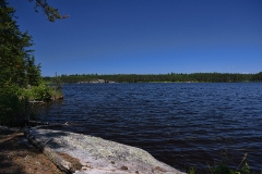 D50_2678
