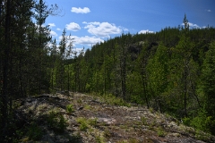 D50_2688
