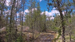 GOPR0106-3