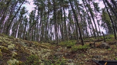 GOPR0153
