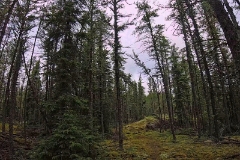GOPR0154