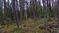 GOPR0156-3