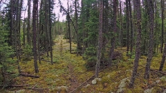 GOPR0156-4