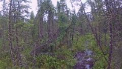 GOPR0164-1