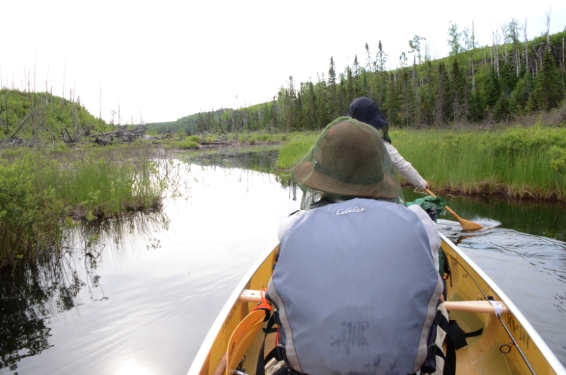 700_2826.jpg - Thr flowage into Muskeg Lake