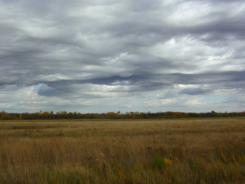 DSCN0951.jpg
