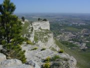DSCN1953