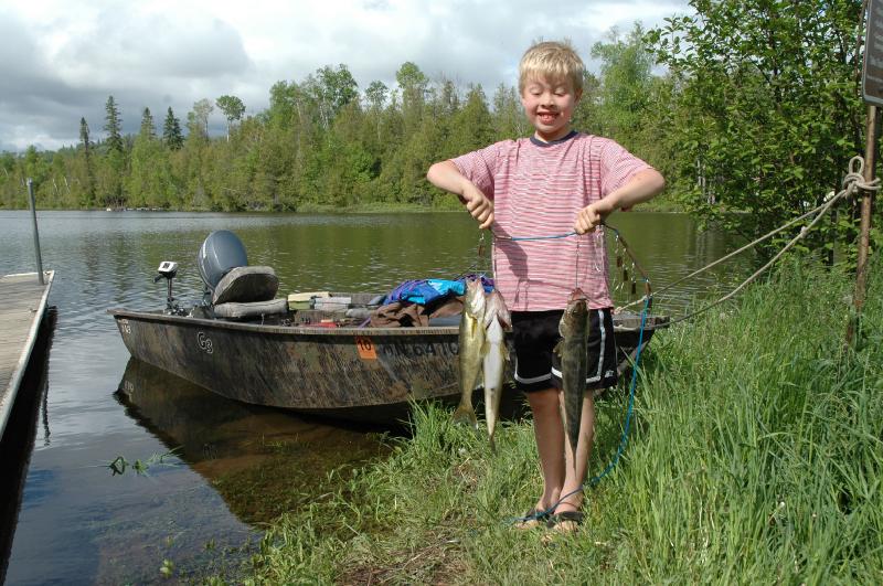 catch.jpg - Some McFarlane walleyes