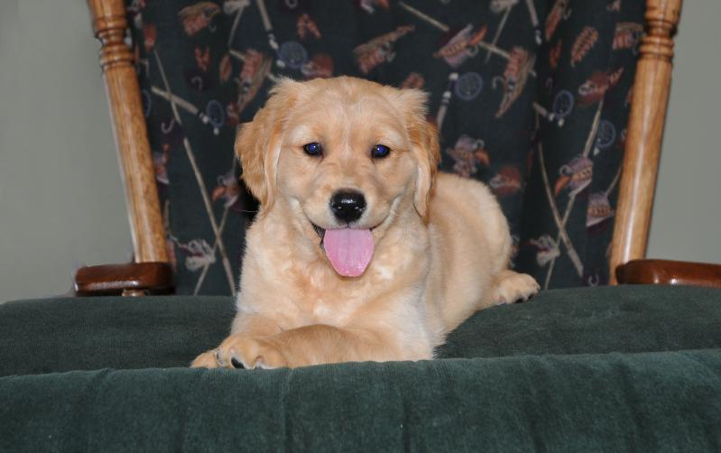 koop.jpg - Kooper making himself at home