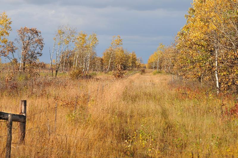 parklands.jpg - Caribou WMA on a nice fall day