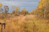 parklands