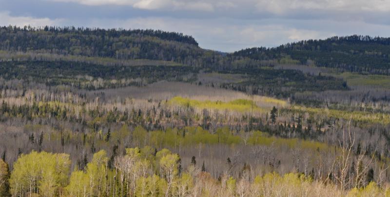 DSC_0001.jpg