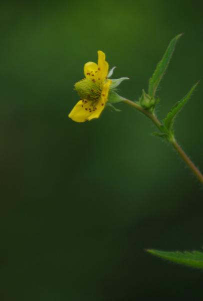 DSC_1282.jpg