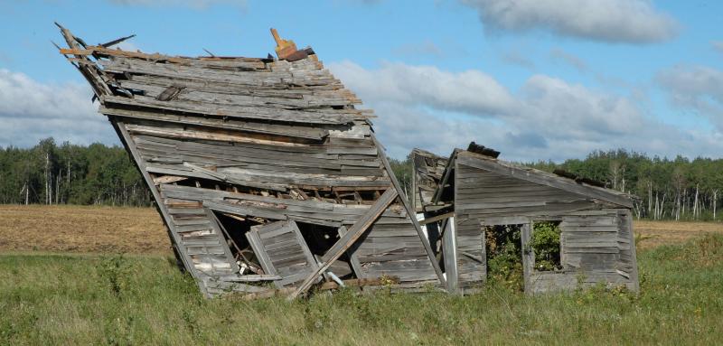 DSC_2117.jpg