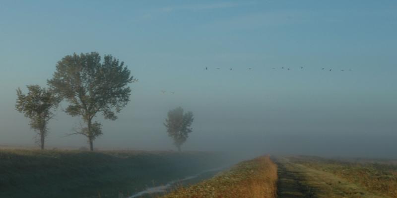 DSC_2122.jpg